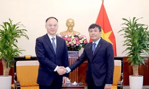 Chuẩn bị tốt Phiên họp 15 Ủy ban chỉ đạo hợp tác song phương Việt-Trung