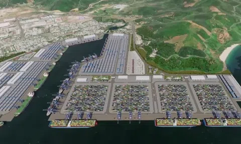 Những DN muốn làm siêu cảng 2 tỷ USD tại Đà Nẵng: Đại gia Ấn Độ cam kết rót 10 tỷ USD vào Việt Nam “đấu” chủ đầu tư dự án 4,2 tỷ USD tại Hà Nội