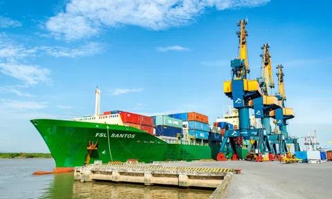 Công ty sở hữu đội tàu container lớn nhất Việt Nam lên kế hoạch lợi nhuận đi lùi năm thứ 2 liên tiếp, trả cổ tức tỷ lệ 20%