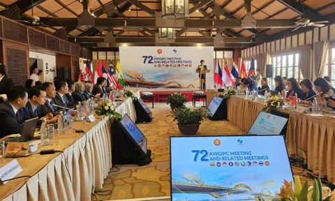 Khai mạc cuộc họp lần thứ 72 của ASEAN về hợp tác sở hữu trí tuệ